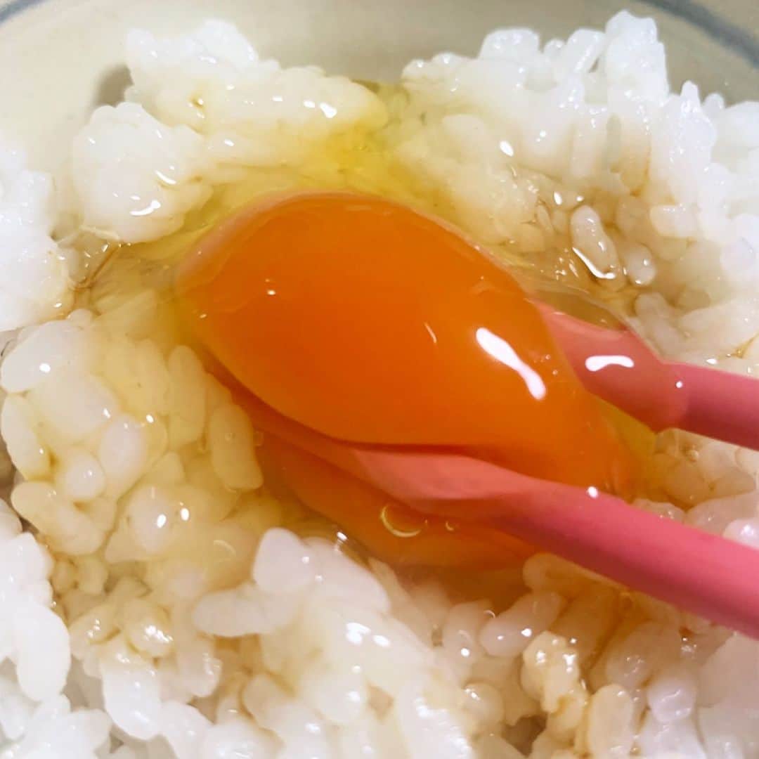中島早貴さんのインスタグラム写真 - (中島早貴Instagram)「おいしいたまご食べた時のとわたしも食べたいな🐶の図。 載せるものなくて深夜の飯テロってやつ。 - #たまごかけごはん  #シンプルが1番 #石川たまごや」4月7日 23時31分 - saki__nakajima__uf