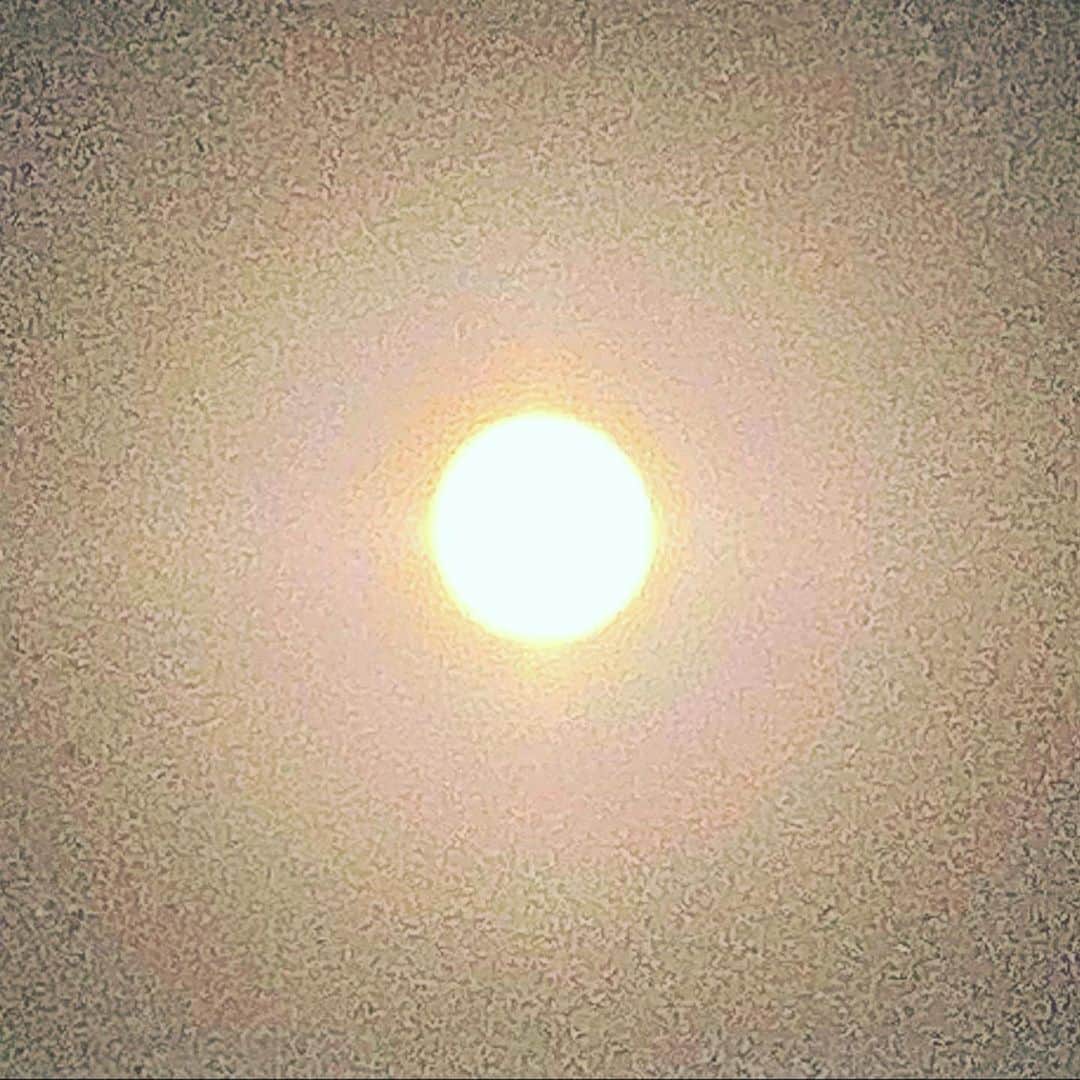 のインスタグラム：「Super Moon 🌝 A new world begins. 超明るかった。」