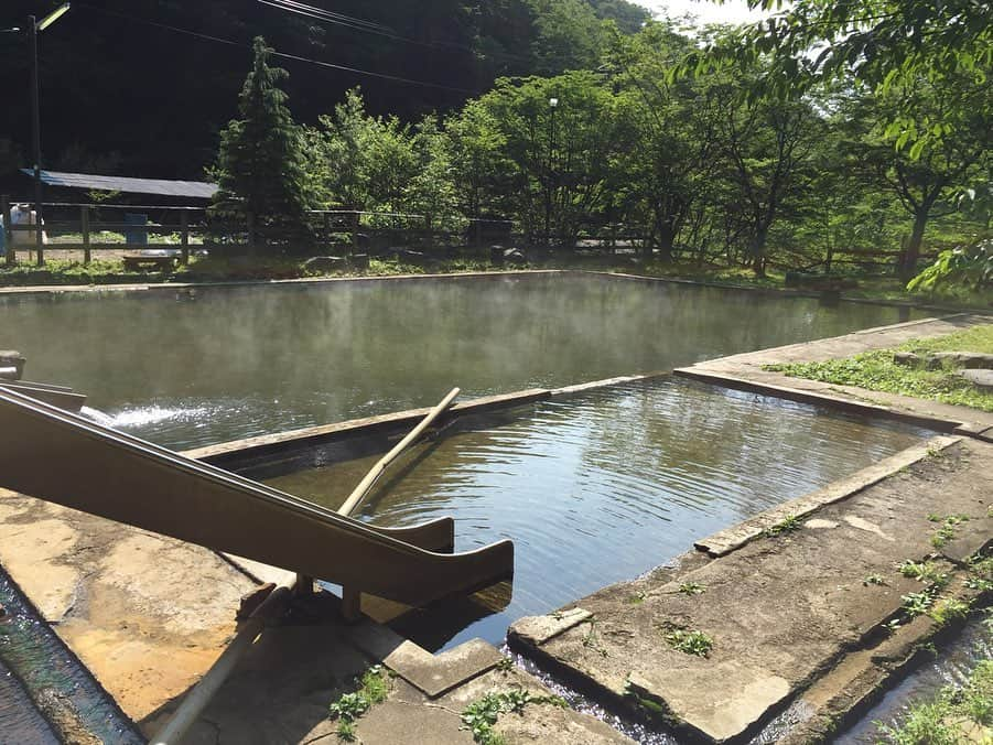 トロたんさんのインスタグラム写真 - (トロたんInstagram)「トロたんと旅するIN栃木 ここのお湯は越えられないってレベルで大好きな 北温泉♨️時々デジタルデトックスで行きます😌 最近行けてないなぁ くつろいでると膝に勝手に座ってくる猫様は元気かなぁ 天狗のお風呂は 混浴なので夜中にコソッと行きます♨️笑 混浴で会えたらいいね(⸝⸝⸝´꒳`⸝⸝⸝)笑 #トロたんと旅する  #北温泉 #北温泉旅館 #温泉  #温泉旅行 #栃木 #栃木観光 #栃木旅行 #猫 #猫の写真へたくそ選手権  #秘湯  #Japanese #Japan #Japantravel #Japantrip  #photo #デジタルデトックス #温泉女子 #温泉大好き  #たびすたぐらむ #旅スタグラム #旅 #trip #travel  #♨️ #温泉旅館 #温泉♨️ #旅行日記 #cat #江戸時代」4月8日 0時23分 - torotan_tan