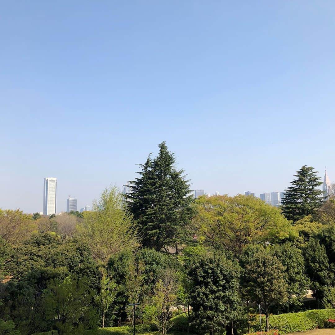 川坂勇太さんのインスタグラム写真 - (川坂勇太Instagram)「緊急事態宣言が出されている東京は今日も晴れています。 気持ちは明るく保とうと思い今日は春まで待ってようやく下ろしたエアマックス95グレープで仕事場へ。 #ウィメンスのファーストカラーのこの色合い好きです #いまそら #nike #airmax #airmax95 #airmax95grape #sneakers #ナイキ #エアマックス #エアマックス95 #スニーカー」4月8日 9時54分 - yutakawasaka