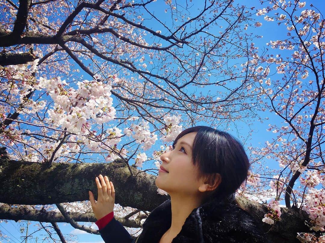 横山ルリカさんのインスタグラム写真 - (横山ルリカInstagram)「. . #がんばろう . #🌸🌸🌸」4月8日 10時30分 - rurika_yokoyama_official