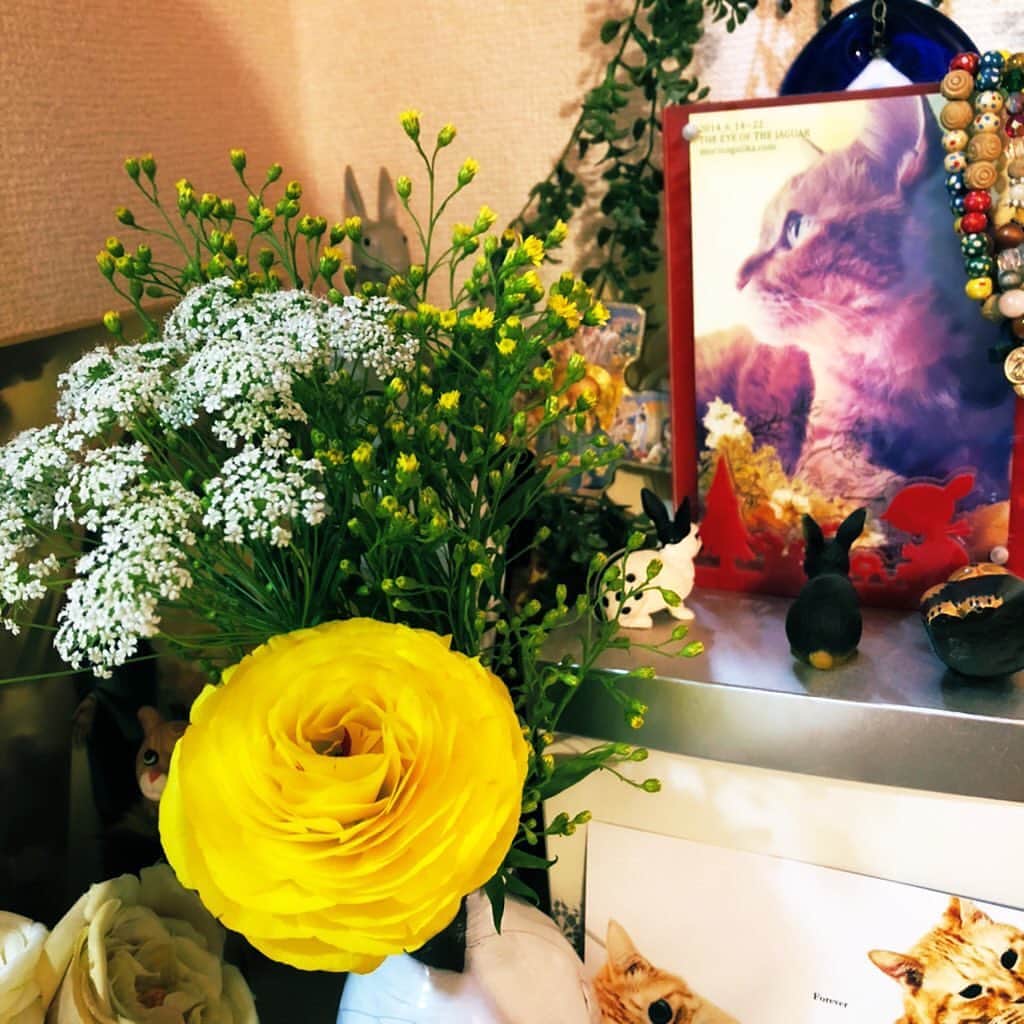 森永理科のインスタグラム：「お花屋さんとしばしのお別れなので、お花を買いました。 黄色いお花にしてみたよ。  #stayhome」
