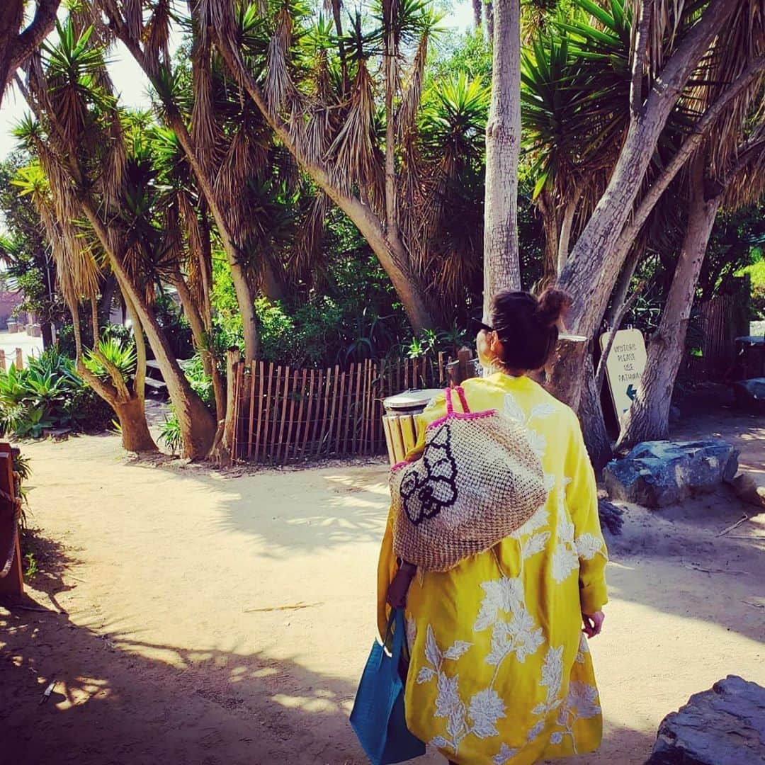 マリ・ヴァルトマンのインスタグラム：「....and then it was summer.... . . . . #feelslikesummer #tb #summermood #moodoftheday #kimono #palmtrees #beachplease #fashionlover #traveler #cosmopolitan #dreaming」