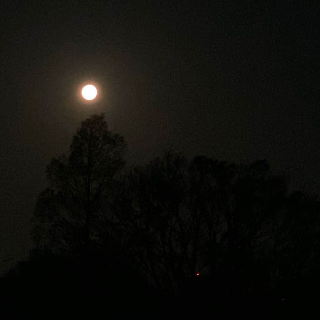 石田ゆり子さんのインスタグラム写真 - (石田ゆり子Instagram)「今宵はスーパームーン。 暗闇を照らす お月さまを見ながら 祈る。  感謝を忘れず 日々つつましく 真面目に暮らします。  #スーパームーン🌕 2020」4月8日 5時00分 - yuriyuri1003