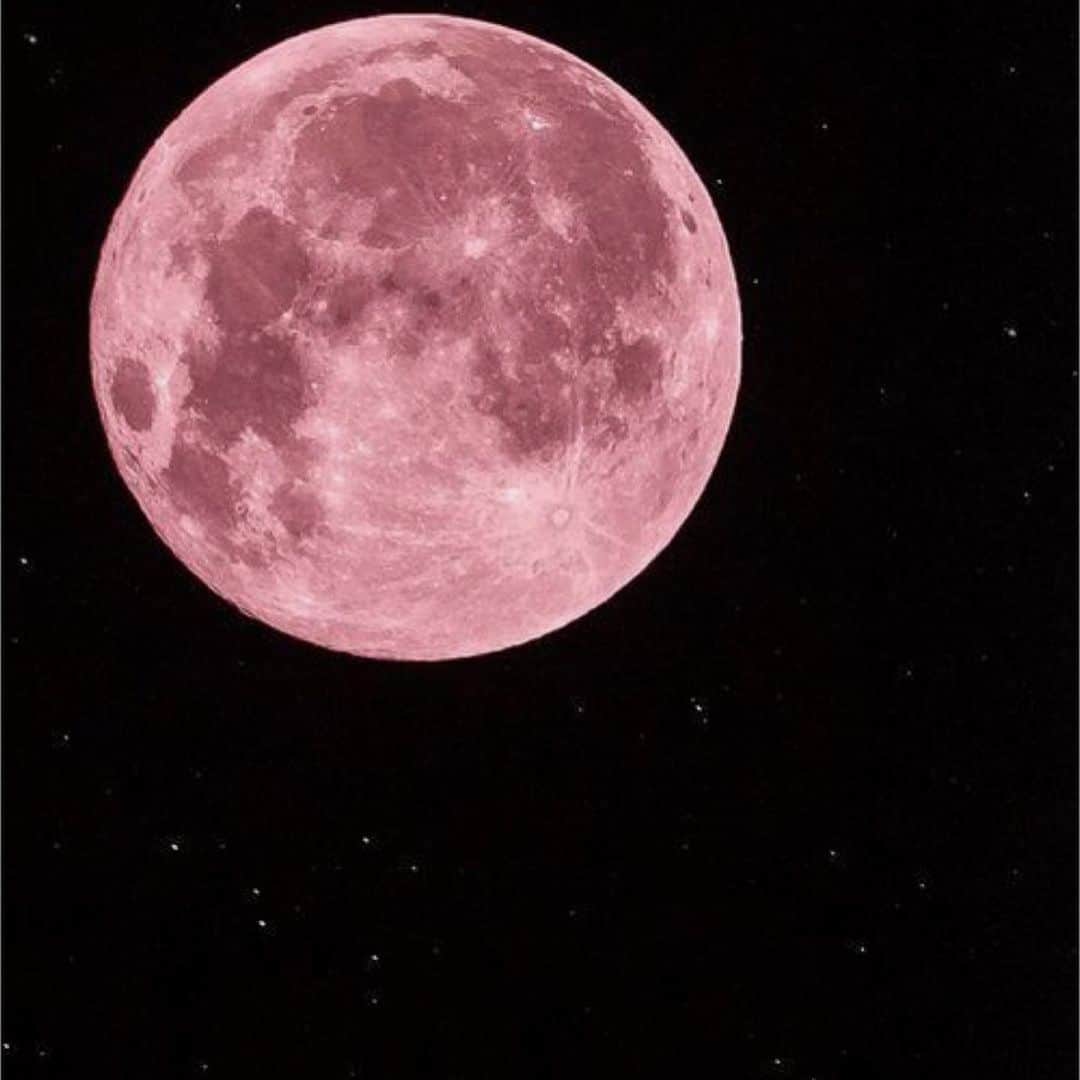 𝑵𝑶𝑹𝑰𝑲𝑶さんのインスタグラム写真 - (𝑵𝑶𝑹𝑰𝑲𝑶Instagram)「𝑠𝑢𝑝𝑒𝑟𝑝𝑖𝑛𝑘𝑚𝑜𝑜𝑛🌕 .  𝘩𝑜𝑣𝑒𝑦𝑜𝑢 𝑛𝑒𝑣𝑒𝑟 𝑠𝑒𝑒𝑚 𝑠𝑢𝑐𝘩 𝑎 𝑏𝑒𝑎𝑣𝑡𝑖𝑓𝑢𝑙 𝑚𝑜𝑜𝑛？ .  #superpinkmoon #moon #beautifulmoon #🌕#💗」4月8日 5時13分 - norip_ppz