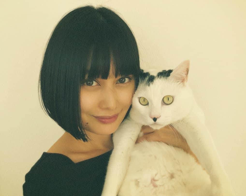 佐藤乃莉さんのインスタグラム写真 - (佐藤乃莉Instagram)「なんだかんだ、  カメラ目線 してくれる君が好き。  #instacat #love#family #おすし#猫」4月8日 11時24分 - nori_sato_