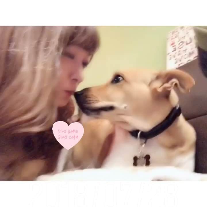 菊池かなこのインスタグラム：「. 🐶💛💁‍♀️ 早くまた行きたい🇹🇼 #拿鐵#taipei#永康街」
