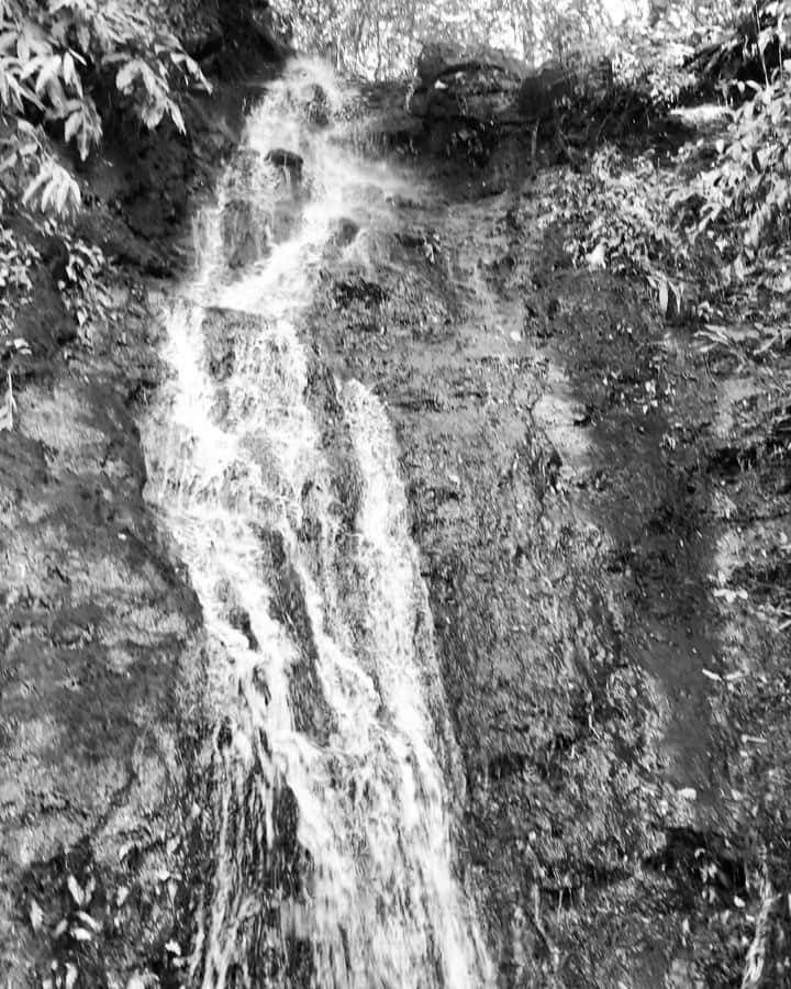 ビタラフ・アルマンのインスタグラム：「Need to go find water falls again #socialdistancing」