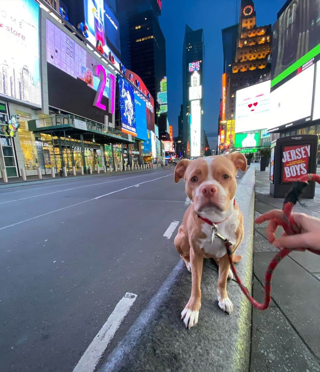 ナディア・ダジャニさんのインスタグラム写真 - (ナディア・ダジャニInstagram)「Can’t wait for you to come back, New York.」4月8日 8時44分 - caughtoffbase