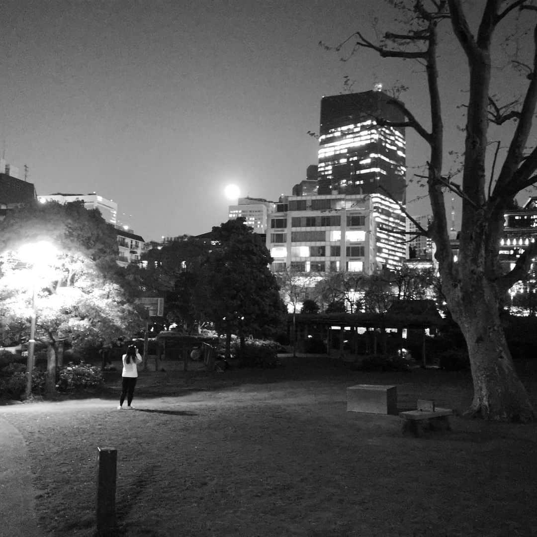 フローラン・ダバディーさんのインスタグラム写真 - (フローラン・ダバディーInstagram)「夜の散歩。ピンクな満月。帰るね。Full pink moon and quiet night in Tokyo. Time for a small walk around my house. #stayathome #monochromenight」4月8日 20時31分 - florent_dabadie