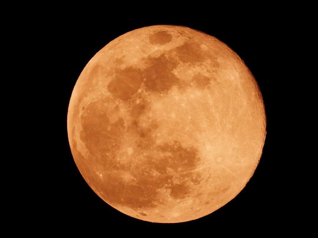 益若つばささんのインスタグラム写真 - (益若つばさInstagram)「今宵はスーパーピンクムーン🌝💓﻿ ﻿ でも実際は、フィルターかけないと全然ピンクじゃないのは内緒。﻿ ﻿ ﻿ お部屋から撮ったよ🌝🌝﻿ ﻿ NiconのCOOLPIX P1000📷﻿ ﻿ #moon #supermoon #pinkmoon  #nicon #スーパームーン」4月8日 20時31分 - tsubasamasuwaka1013