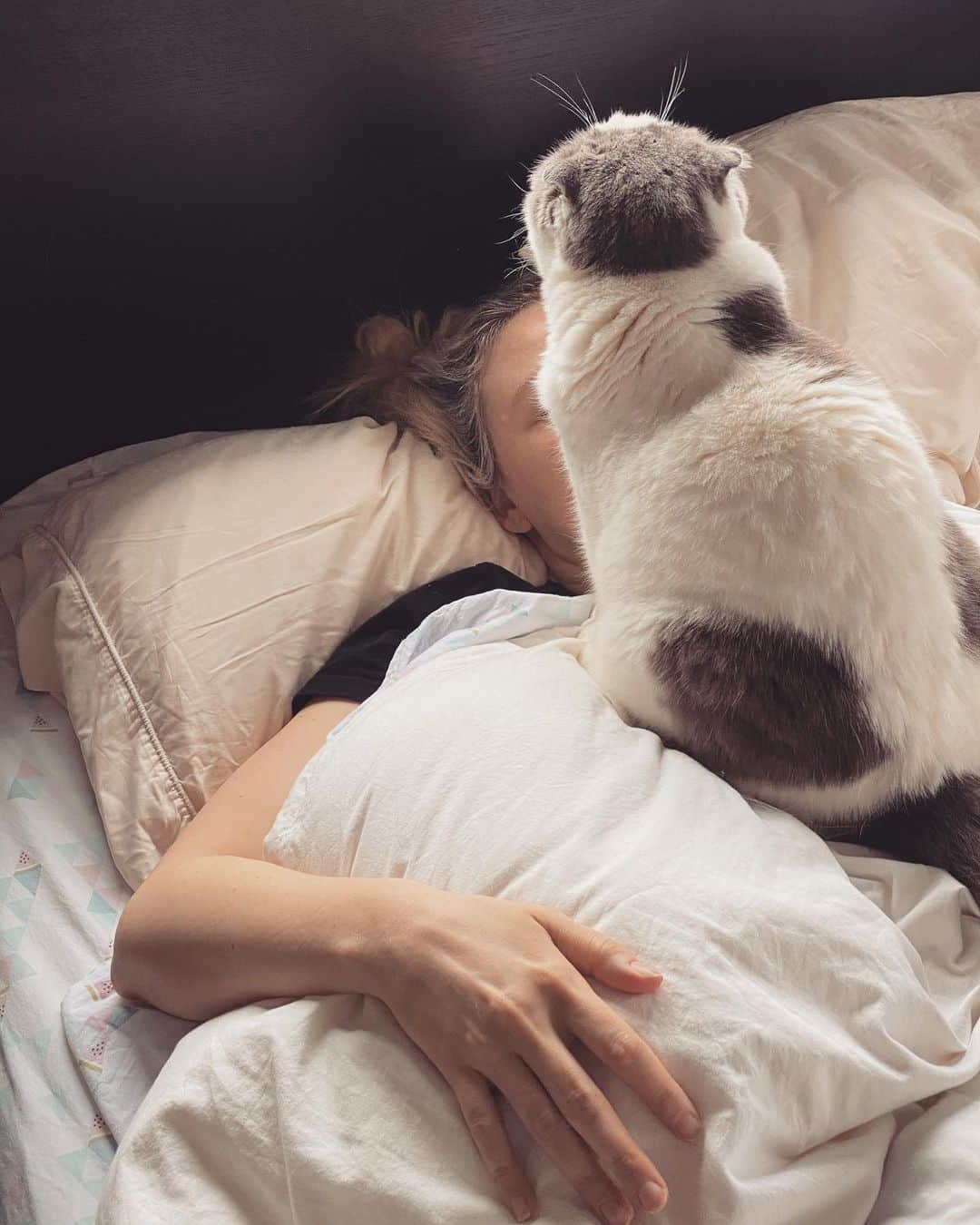 サイモンとマルティナのインスタグラム：「“And now mother, to sing you the song of my people...” 🎶 🐈」
