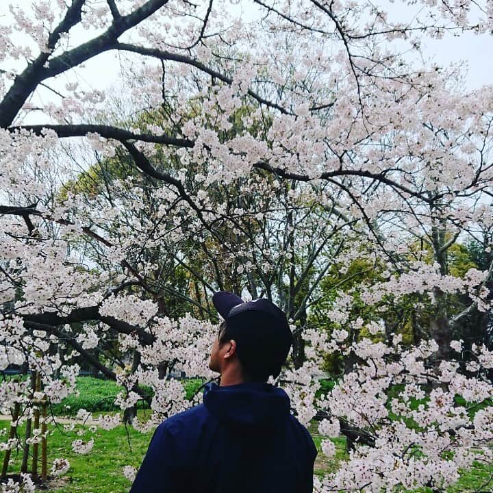 高本剛志さんのインスタグラム写真 - (高本剛志Instagram)「春は必ずやってくる！ #桜」4月8日 19時06分 - takamoto76