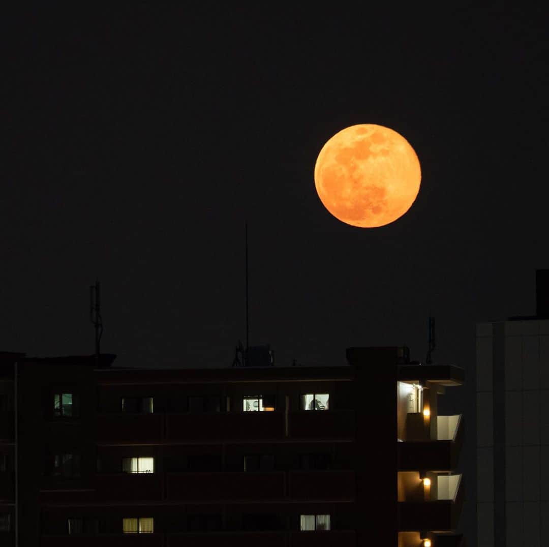 時任三郎のインスタグラム：「今夜の満月の出＠東京  #スーパームーン #supermoon #満月 #祈る #tokyo」