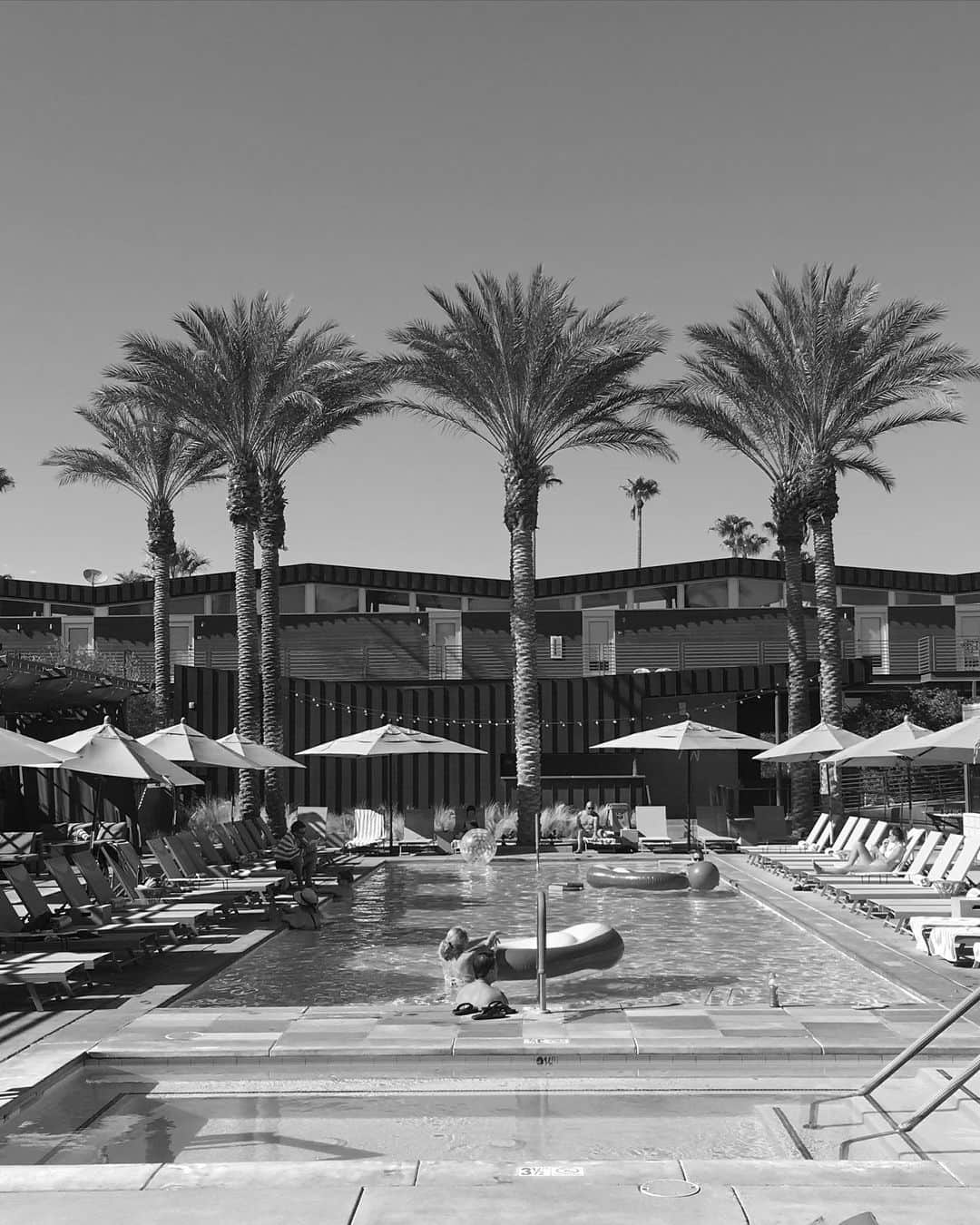 Takayuki Konoのインスタグラム：「Waiting for Summer  20190831 Visited Palm Springs」