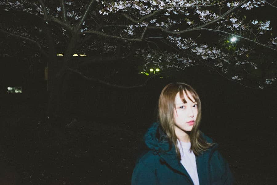 塚本美玲のインスタグラム：「夜桜さん﻿ ﻿ ﻿ ﻿ ﻿ photo by @marcy_camera_9716 ﻿ ﻿ ﻿ ﻿ ﻿ ﻿ ﻿ .﻿ ﻿ ﻿ .﻿ ﻿ ﻿ ﻿ ﻿ #フィルムカメラ#風#一眼#カメラ#camera#portrait#good_portraits_world#tokyo #japan#sakura#instagood #instalike #ootd #coordinate #code #fashion #selca#daily#good #work #데일리 #오오티디 #얼스타그램 #일상 #일본인#ポートレート#被写体#桜#🌸」
