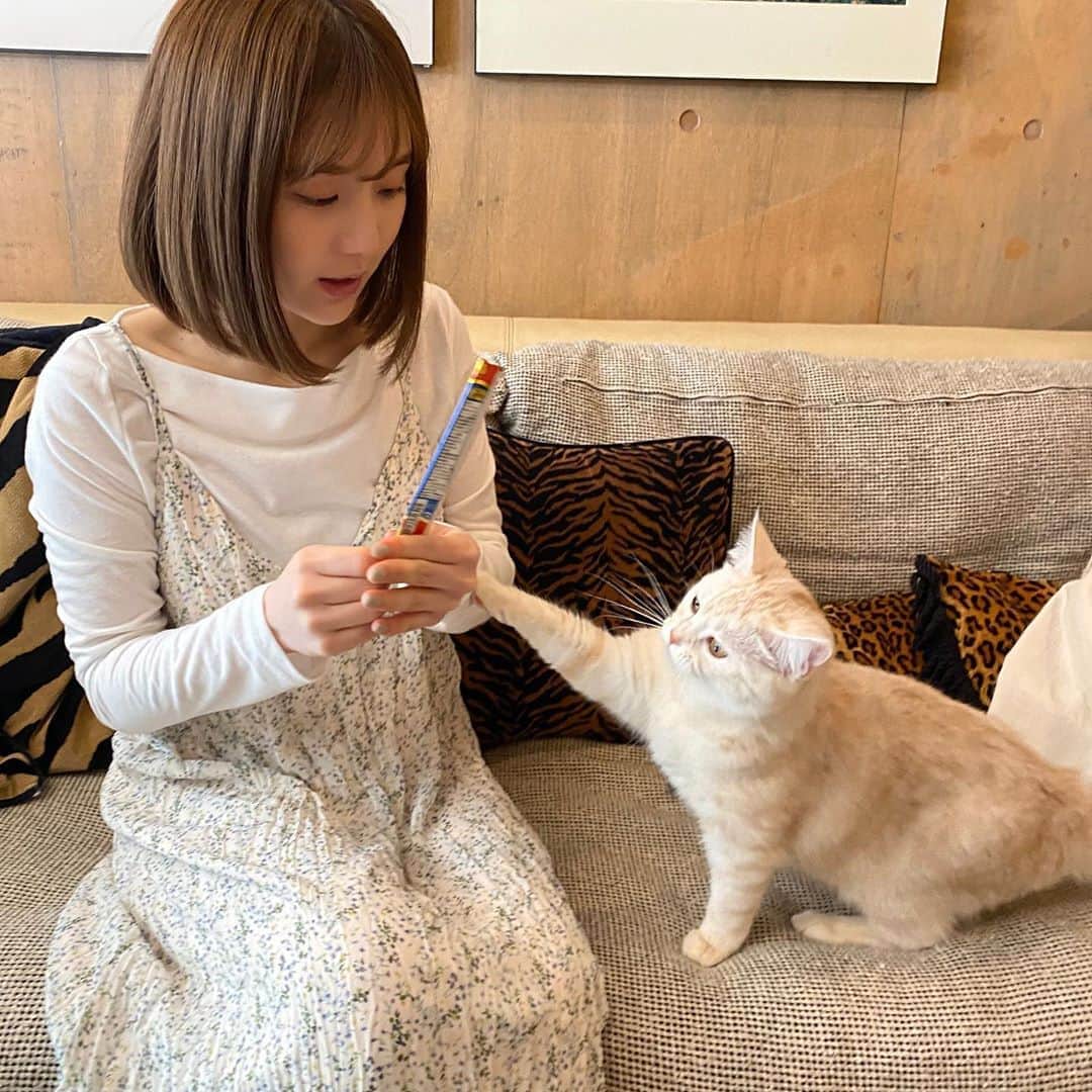 ひよんのインスタグラム：「🐱🐱💞 ㅤㅤㅤㅤㅤㅤㅤㅤㅤㅤㅤㅤㅤ 早くみとちゃんとぷる子にも会いたいな〜🥺💞 ㅤㅤㅤㅤㅤㅤㅤㅤㅤㅤㅤㅤㅤ #お家時間 #ひよん」