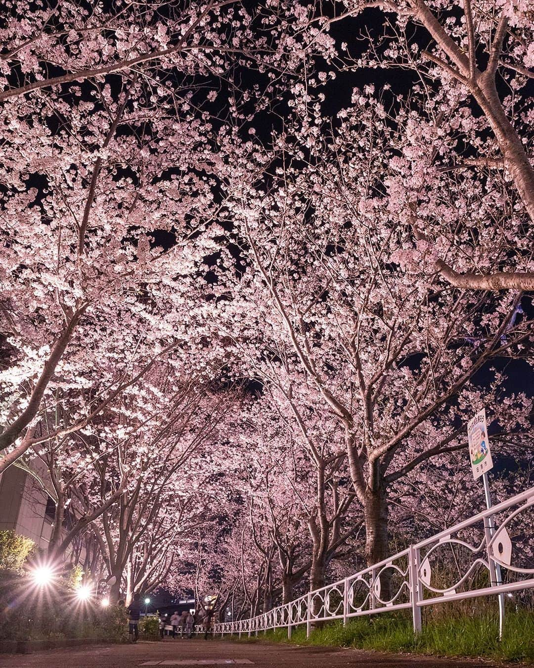 愛知県田原市のインスタグラム