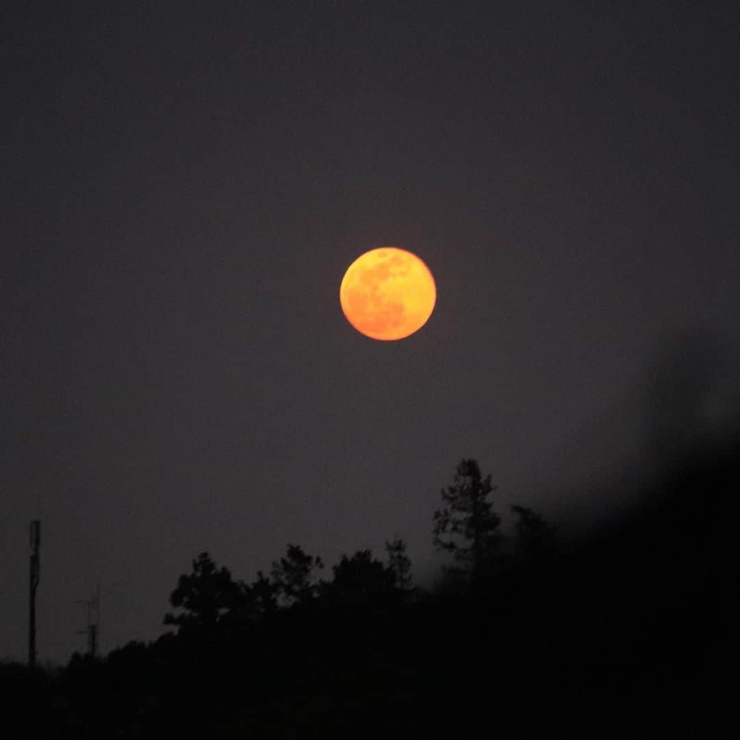 おおたうにさんのインスタグラム写真 - (おおたうにInstagram)「父が撮った満月🌝✨ この事態が収束しますように。 #supermoon #満月」4月8日 19時58分 - outa_uni