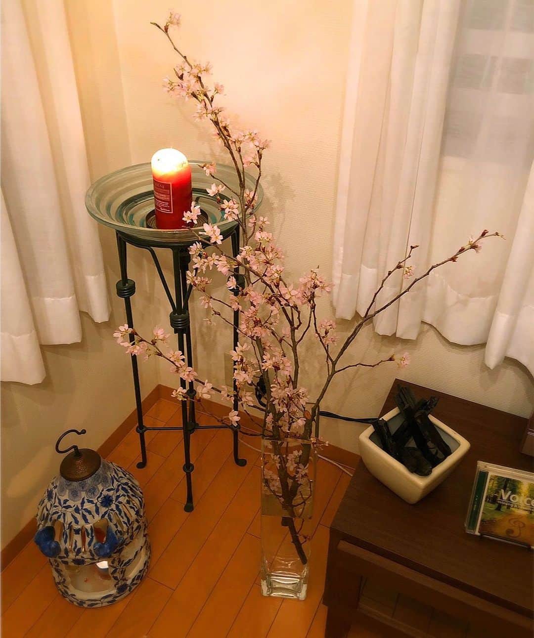 藤井美加子さんのインスタグラム写真 - (藤井美加子Instagram)「☆﻿ もう桜は散る頃でしょうか？﻿ ﻿ たった2週間くらい前のことが﻿ もうずっと前のような気さえします。﻿ ﻿ 今年のさくらにありがとう﻿ ﻿ 来年はたくさん写真撮って﻿ いっぱい褒めてあげたいですよね 今夜は満月おうちでお花見です🌸🌕 ﻿ ﻿ ﻿ ﻿ ﻿ #2020桜 #さくら  #sakura  #ありがとう #うちで過ごそう  #今夜は満月 #スーパームーン #吉本自宅劇場 #stayhome ﻿ #savelives﻿ #staypositive﻿」4月8日 20時30分 - mikako_miki