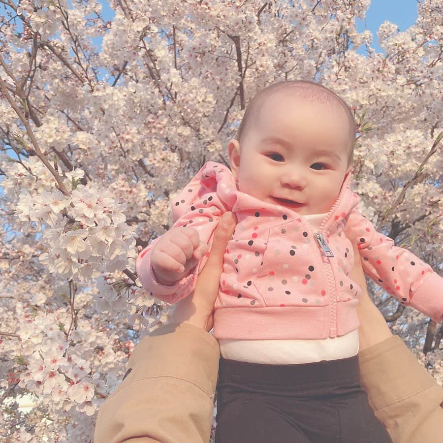 長澤愛さんのインスタグラム写真 - (長澤愛Instagram)「. . 近所の公園でごめんだけど 生まれて初めての桜🌸 見せれてよかった 𓂃 𓈒𓂂 . . 来年はお花見行こうね！ . その頃には1歳だから、きれーいって言って もっと桜楽しめるね☺️☺️ . . #そういえば #今の髪色 #明るめミルクティーです . #桜 #お花見 #生後6ヶ月 #女の子ベビー #女の子ママ #ママコーデ #🌸」4月8日 11時40分 - mnm_11.7