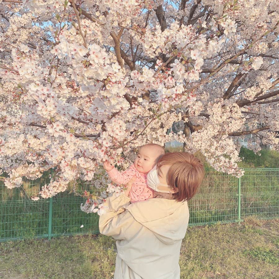 長澤愛さんのインスタグラム写真 - (長澤愛Instagram)「. . 近所の公園でごめんだけど 生まれて初めての桜🌸 見せれてよかった 𓂃 𓈒𓂂 . . 来年はお花見行こうね！ . その頃には1歳だから、きれーいって言って もっと桜楽しめるね☺️☺️ . . #そういえば #今の髪色 #明るめミルクティーです . #桜 #お花見 #生後6ヶ月 #女の子ベビー #女の子ママ #ママコーデ #🌸」4月8日 11時40分 - mnm_11.7