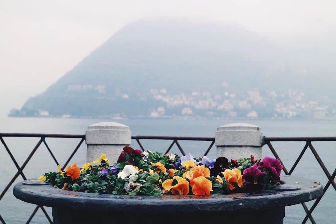 のインスタグラム：「Lake Como, Lombardy, Italy 🇮🇹🌺🍃 Going through old travel photos while in ISO」