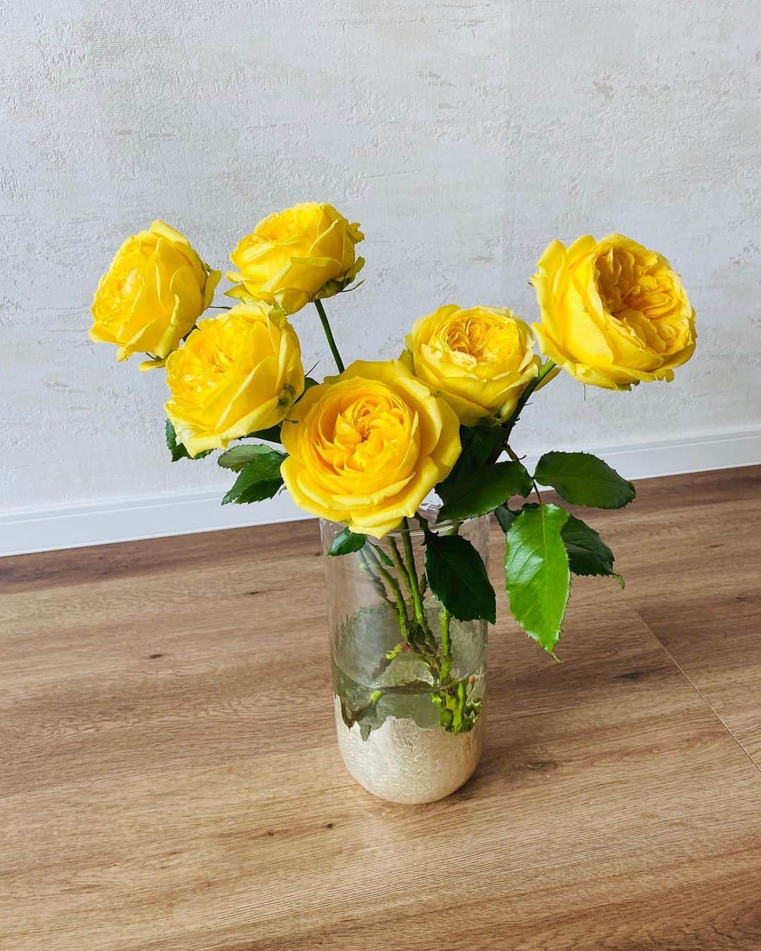 西川忠志さんのインスタグラム写真 - (西川忠志Instagram)「黄色い薔薇  我が家のリビングには今 黄色い薔薇が飾ってあります。  元気をもらえます！  感謝  #黄色い薔薇　#薔薇　#黄色　#我が家　#リビング　#パワー #power  #吉本新喜劇　#西川忠志　#ありがとうございます #ありがとう　#感謝　#元気　#花　#おうち時間　#stayhome」4月8日 13時19分 - nishikawa_tada