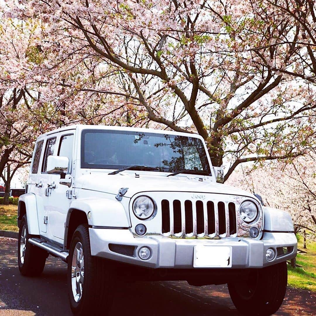 古澤勝吾のインスタグラム：「愛車  #jeep #ラングラー #いつかの写真」