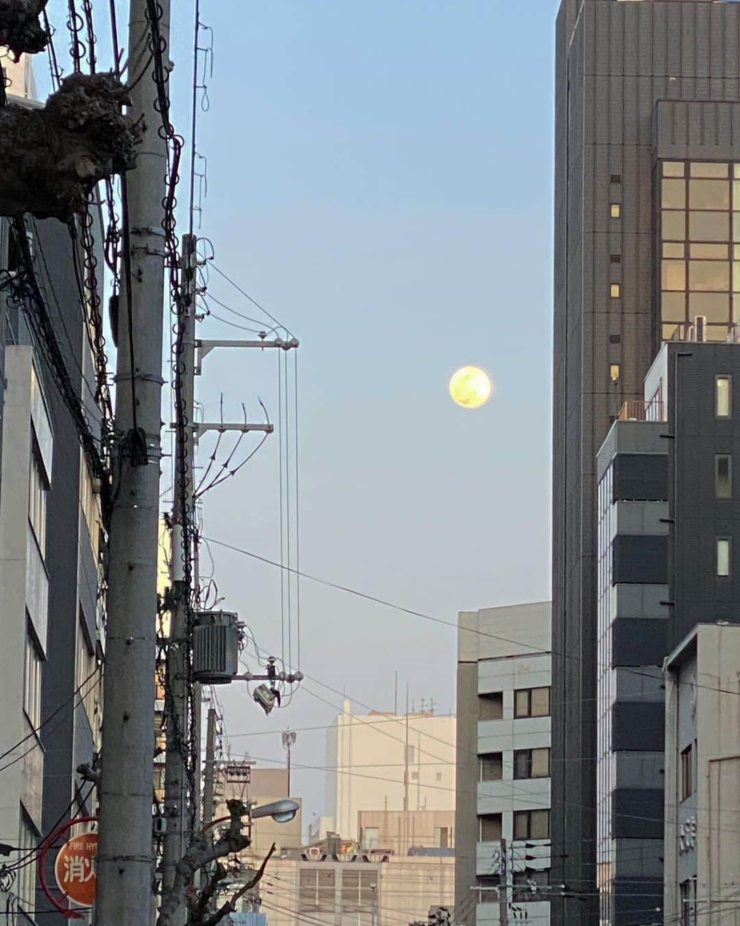 木村沙織さんのインスタグラム写真 - (木村沙織Instagram)「. 昨日みたスーパームーン すっごかったなー🌕!!! . . #スーパームーン」4月8日 13時53分 - saoriiiii819