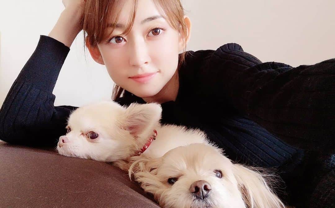 山上紗和 のインスタグラム：「#おうち時間 #dog」