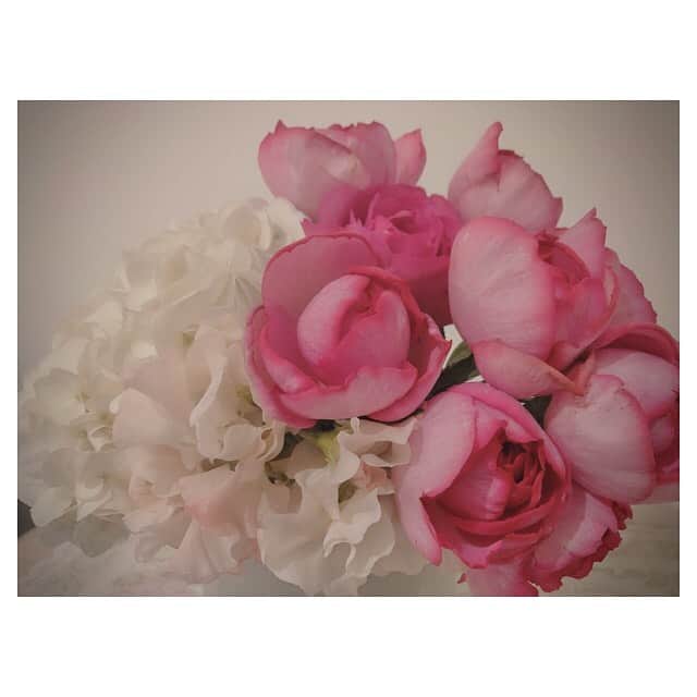 早乙女わかばさんのインスタグラム写真 - (早乙女わかばInstagram)「.﻿ 綺麗なバラの花束🌹🥰﻿ こういう時にパッと気持ちを明るくさせくれる素敵な花束✨﻿ ﻿ イブピアジェ(rose yves piaget) と名付けられたこの美しいバラは フランス生まれ🇫🇷﻿ とってもいい香りのバラです💕﻿ ﻿ バラで思い出すのは、マリー・アントワネットにジョセフィーヌ🏰👸🏼﻿ ﻿ 6年前の星組から月組の組み替えの時に出来た長期休みに、パリ満喫旅をしていました✈️﻿ ナポレオンの公演が終わったばかりだったので、ナポレオンにまつわるところや、アントワネット様のお墓のサン・ドニ寺院など、、超マイナーどころばかりに行きました🏰﻿ ﻿ ちょうど6年前の今のこの4月に行っていたようです。写真を整理していたら出てきました。﻿ ﻿ 6年後に日本がこんな状況になるなんて、ね、﻿ でも、それが人生。﻿ 何が起こるか分からない。﻿ ﻿ 〝今、出来ること〟﻿ 自分自身と向き合うこと﻿ ﻿ 6年前の写真を見て﻿ 自分で言うのもおこがましいですが（笑）﻿ 「今の方が若くみえない？」﻿ ﻿ 今、前髪短いからかな。﻿ 髪色暗いからな。﻿ いや、そもそも髪短いから？﻿ ﻿ というか同一人物に見えない🤣﻿ ﻿ 在団中の私のトレードマーク﻿ 〝センター分けの金髪ロングヘア💇🏼‍♀️〟﻿ ﻿ 懐かしいなぁ。。。﻿ ﻿ 美容院に行けないので、ここから髪の毛伸び放題ですが…﻿ ﻿ 美容院が行けるようになったらどうしよう。﻿ ﻿ 切る？伸ばす？﻿ 悩むーーーーー﻿ ﻿ 『自分に向き合う時間』﻿ ﻿ ゆっくり考えます😌﻿ ﻿ #バラ﻿ #イブピアジェ﻿ #ジョセフィーヌ﻿ #マリーアントワネット﻿ #パリ﻿ #フランス」4月8日 15時29分 - s_wakaba.94