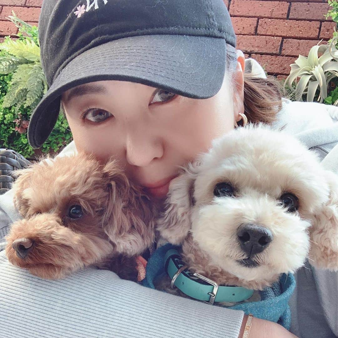 佐伯三貴のインスタグラム：「犬たちもずっと家ではストレスが溜まるのでテラス席わんちゃんOKなカフェに散歩がてら行って来ました🥰❤️ 久しぶりの散歩で嬉しそうでした😊  帰ってうがい手洗いはちゃんとしました😍👍」