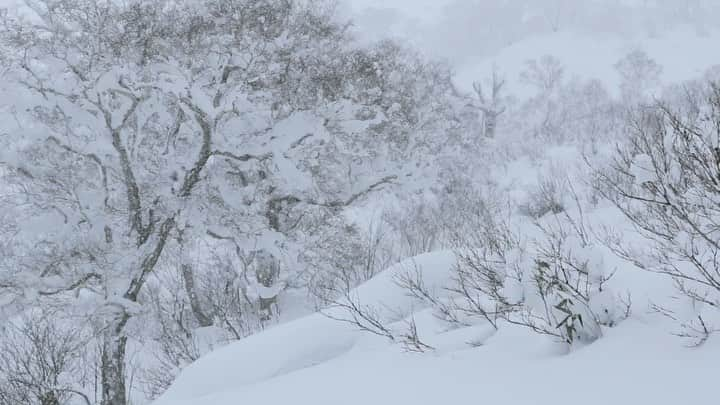 小野塚彩那のインスタグラム：「😑💭. . . Shooting in last January with @thenorthfacejp @thenorthface_snow @tnf_mountain @tnfwomen crew . . . 📸 @rightup_inc @hisanori_kato . . #neverstopexploring #shemovesmountains #コロナに負けるな」