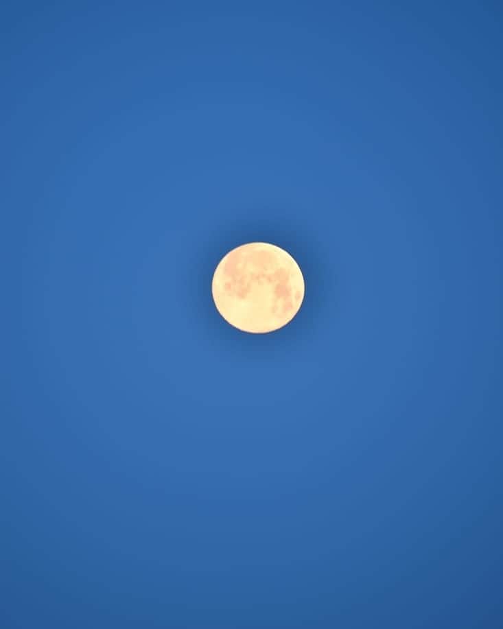 土屋太鳳さんのインスタグラム写真 - (土屋太鳳Instagram)「昨日の夜から今日までのスーパームーン 観た人はいらっしゃいますか？ ４月の満月は ピンクムーンという別名もあるそうなので スーパーピンクムーン🌕️✨✨ なんだかイメージ的に セーラームーンを思い出します💡 そして、 このセーラームーンが登場しそうな月は 家族から送られてきました😊 光が強い夜の間は 眩し過ぎて光しか撮れなかったけれど 明け方、光が弱くなった時に 一眼レフで撮影したのだそうです😳✨ うさぎがいる🐇✨✨ . セーラームーン、 すごく好きだったなぁ…今も好きですけれど✨ 同年代に限らず幅広い年齢層の人が セーラームーンを楽しんだと思います。 プリキュアとか、カードキャプターさくらとか、 おジャ魔女どれみとか、夢中で観たなぁ… . ちなみに、これは前も書いたと思いますが 金曜ドラマ「チア☆ダン」の撮影に入る前、 映画版とは違ってオリジナルストーリーなので どんな感じで取り組んでいけばいいんだろう、と すごく迷ったんです。 実話の意志を受け継いでいても フィクションだから お手本や参考になるチームがなくて… どうしたら共感を感じる物語になるんだろう、 コンプレックスだらけの“わかば”が どうやってチームを引っ張るんだろう と考えていて思い出したのが おジャ魔女どれみの、どれみちゃんでした。 . どれみちゃんって、 仲間にスペシャリストは多いけれど どれみちゃん本人は典型的な「魔女見習い」だから スーパーヒロインではないんですよね。 でも、 努力する姿とかあきらめない気持ちとか 仲間への想いが共感を生むのかなぁって思い出して、 おジャ魔女どれみのDVDを一通り観てから、 わかばの役作りに入ったんです。 懐かしいなぁ～ . アニメに限らず「かぐや姫」の昔から特撮やSF作品まで、 地上にいる人たちが何かと闘わなきゃいけないとか 何かを乗り越えなきゃいけないとか 大事なものを守らなきゃいけない場面では 大きな月が背景にあるような気がします。 . 昨日が満月だったことは偶然だけれど 偶然から感じるヒントってたくさんあると思うから いいヒントがたくさんの人に伝わって 若葉と笑顔が溢れる 気持ちのいい初夏が来ますように🌿✨✨ . 今日の質問コーナーです💡 . ＊＊＊＊＊＊＊＊ １色しか選べないとき、１番好きな色は？ ＊＊＊＊＊＊＊＊ . １色しか選べないのは難しい💦💦💦 わりとその日によっても違ったりするので、 とてもとてもとても迷います🤔 赤も好き。情熱の色だし、 言葉で書くとちょっと変かもだけど 大切な血の色でもあるし。 白も好き！ いろいろな色に染まることが出来るし 大好きな雪の色でもあるから。 青も好き！大好きな空と海と川の色だから。 紫も…緑も…となってしまって 全然答えになっていないので😅 さらに考えると… 淡い桃色かなぁ🤔💡💡 . ペールピンクとかシャーベットピンクとか いろいろな淡さがありますが、 ビビットではなく淡いピンク、 赤ちゃんのほっぺとか 淡いマカロンの色みたいなピンクが好きです。 . なぜかというと、 しあわせの色っていう気がするから。 その色がある場所には笑顔がある気がするし 空も海も川も青くて山は緑な気がする、 勝手にだけれど。笑 . あと、 今年の桜が寂しそうだったからかもしれない… 絶対、皆どうしたの？どこいっちゃったの？と 思ってたと思うんですよね。 桜って心があるように見えちゃうから。 だから来年は楽しくお花見できるよう、 今をがんばろうと思います…🌸✨✨ . ではでは、また明日😊 私もインスタライブとか挑戦してみたいですが スペックとして分かんなさすぎるので 誰かに聞いて、分かったら、挑戦してみます😅💦💦 今日も月が見えそうな予感！ 満月は過ぎたけれど、きっと素敵な光だと思うから 窓から見えたら、光を浴びてみてください🍯🌕✨」4月8日 17時01分 - taotsuchiya_official