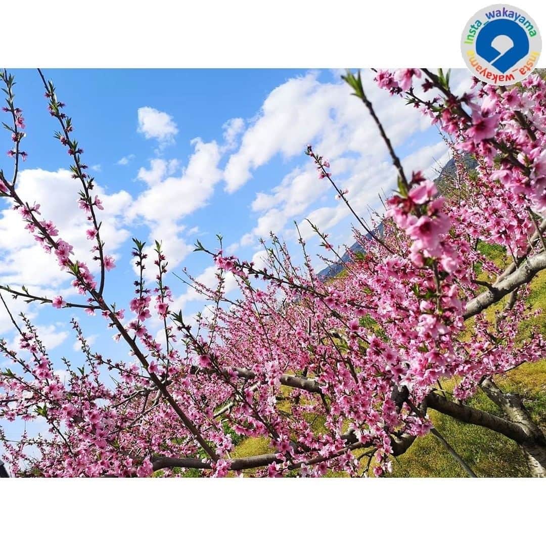 和歌山県のインスタグラム