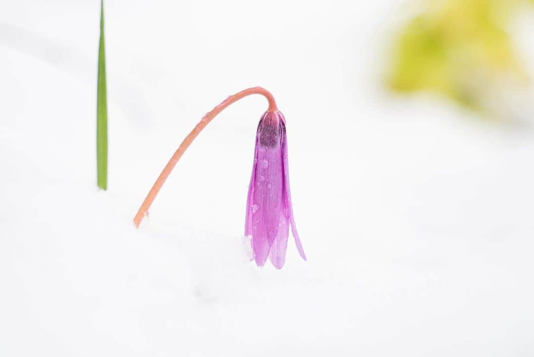 山人のグルメインスタ