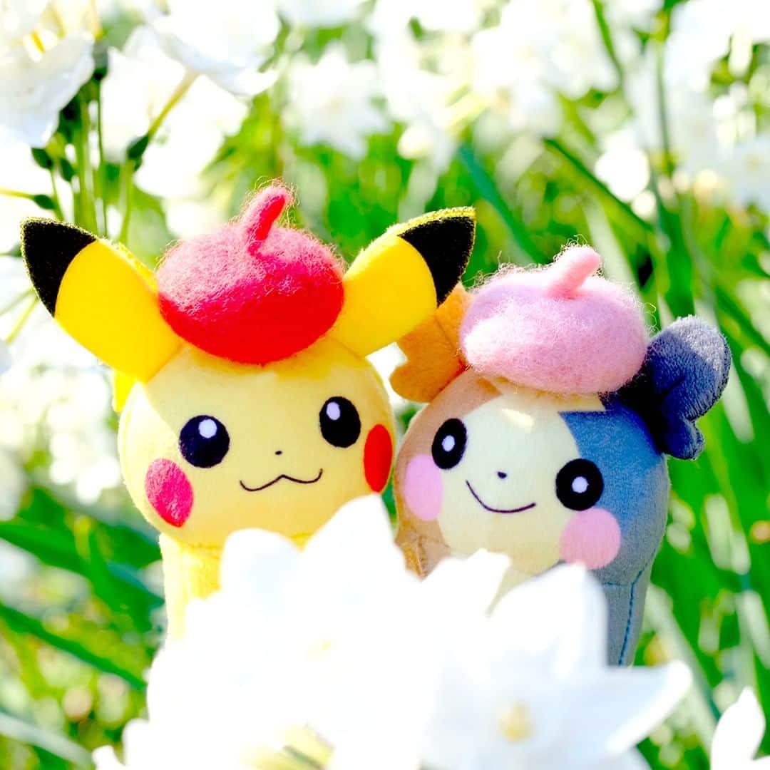 ピカチュウ公式Instagramさんのインスタグラム写真 - (ピカチュウ公式InstagramInstagram)「【今日のピカチュウ】 ピカチュウとモルペコはおそろいの帽子でお出かけ😄👒 お花の前でハイ、ポーズ📸✨ #pikachu #morpeko #pokemon #pikachu_snap #photooftheday #flower #spring #ピカチュウ #モルペコ #帽子 #ベレー帽 #写真 #撮影 #おそろい #春」4月8日 18時00分 - pokemon_jpn