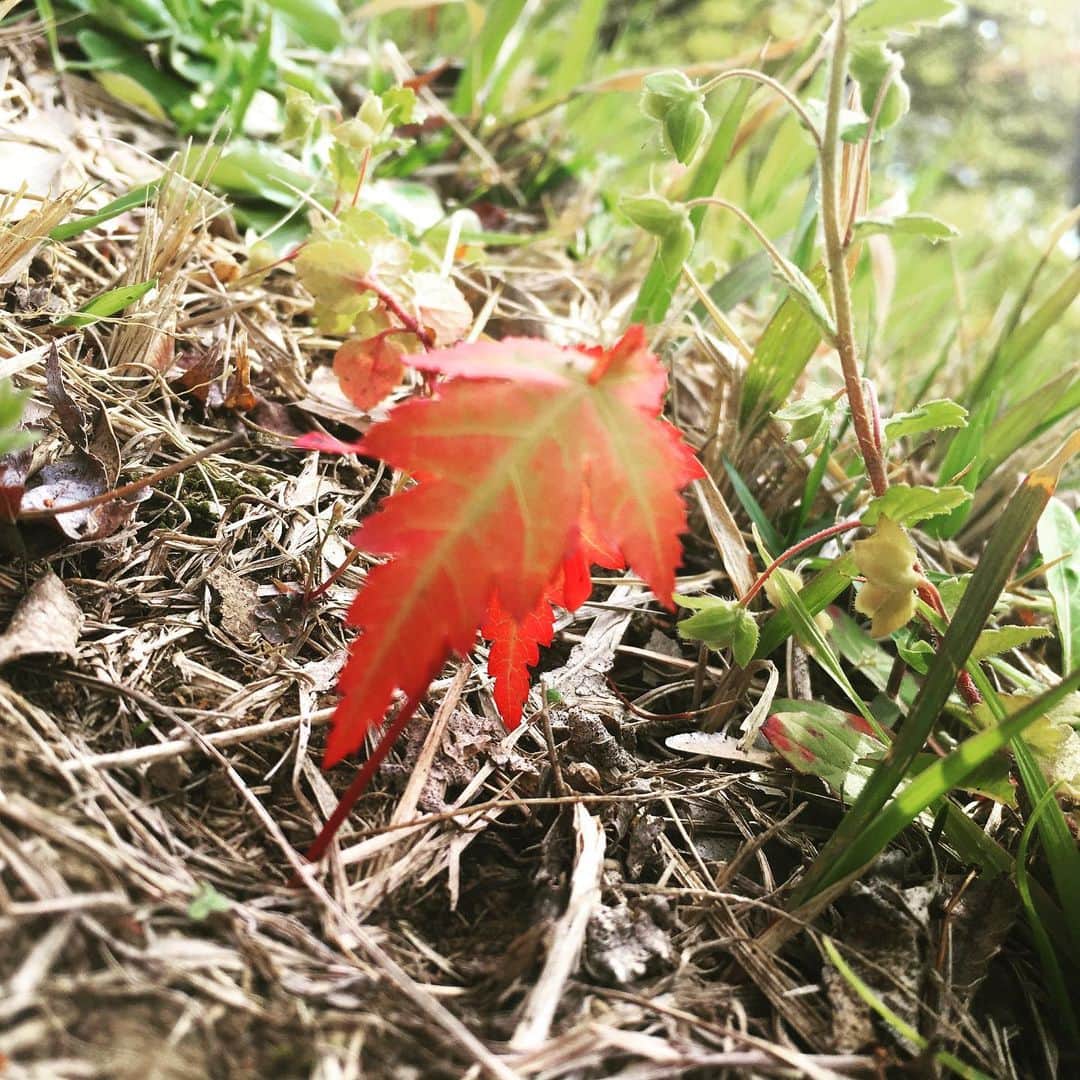 福田洋のインスタグラム