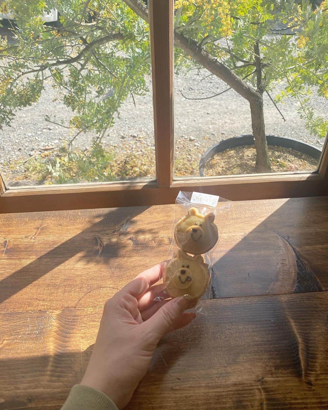 岡元優香さんのインスタグラム写真 - (岡元優香Instagram)「#sunsetcookiesjasmine」4月8日 18時17分 - ___o3yuka._