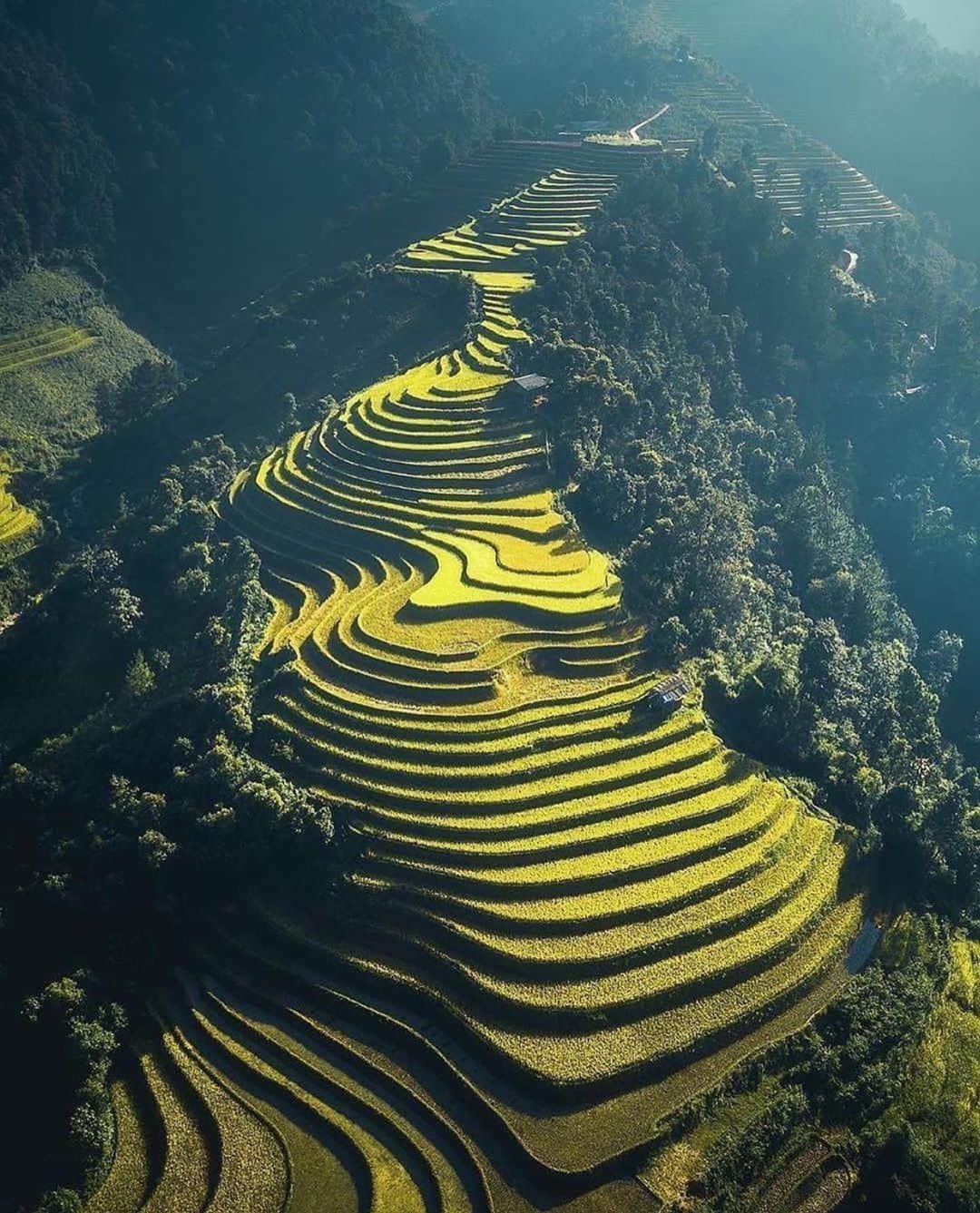 Wonderful Placesさんのインスタグラム写真 - (Wonderful PlacesInstagram)「Rice terrace in Sapa - Vietnam ✨💚💚💚✨ . Pictures by ✨✨@merveceranphoto✨✨ #wonderful_places for a feature 💚」4月9日 5時44分 - wonderful_places