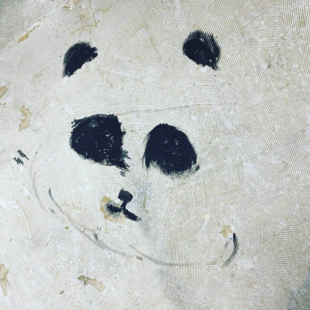 月に吠える。さんのインスタグラム写真 - (月に吠える。Instagram)「絵を描いたら 床を汚してしまったので なんとかパンダにして 何事もなかったかのように過ごした 一日だった。  #大森南朋  #パンダ」4月8日 21時02分 - tsukinihoeru.6960.naoomori