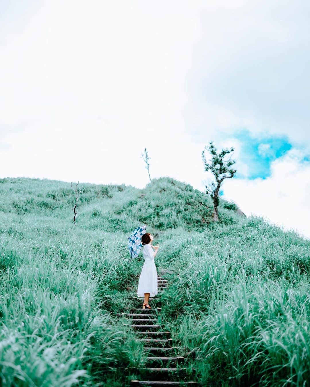 shinichi38のインスタグラム：「﻿ ﻿ grassland 🌿﻿ ﻿ #stayhome」