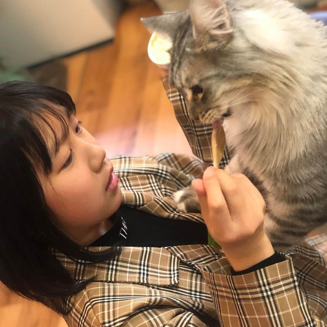 ゆわももチャンネルのインスタグラム