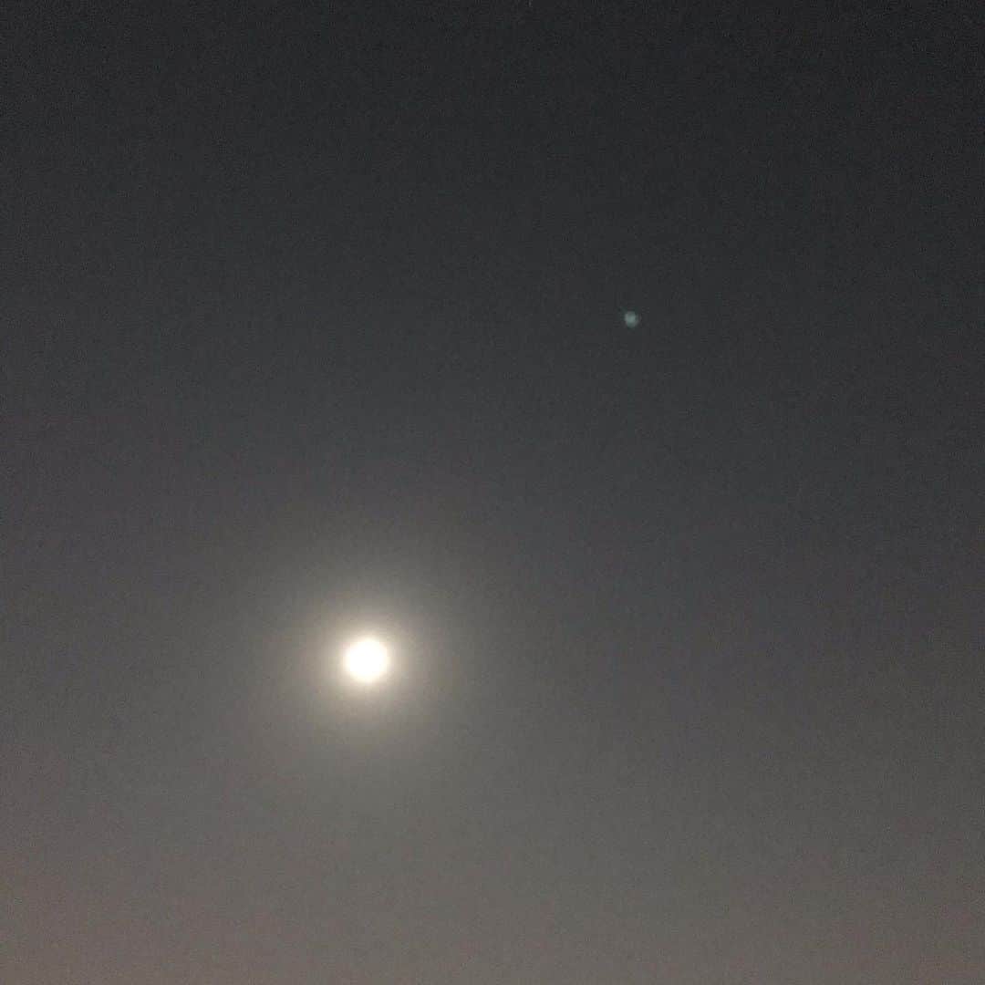 畑中葉子さんのインスタグラム写真 - (畑中葉子Instagram)「我が家から見える月。 昨夜のスーパームーンも綺麗だったけれど、今夜の月もとても近くで美しく輝いているよ。 世の中で起きていることが嘘のようだね。 月の右上のポチッと見える点はスマホで撮るとよくあるヤツ。 星ではない。 私のスマホで撮る月は、これが限界。 そして、唐突ですが、私は元気です。 みなさんも、絶対に元気でいてね。」4月8日 21時16分 - hatanaka_yoko