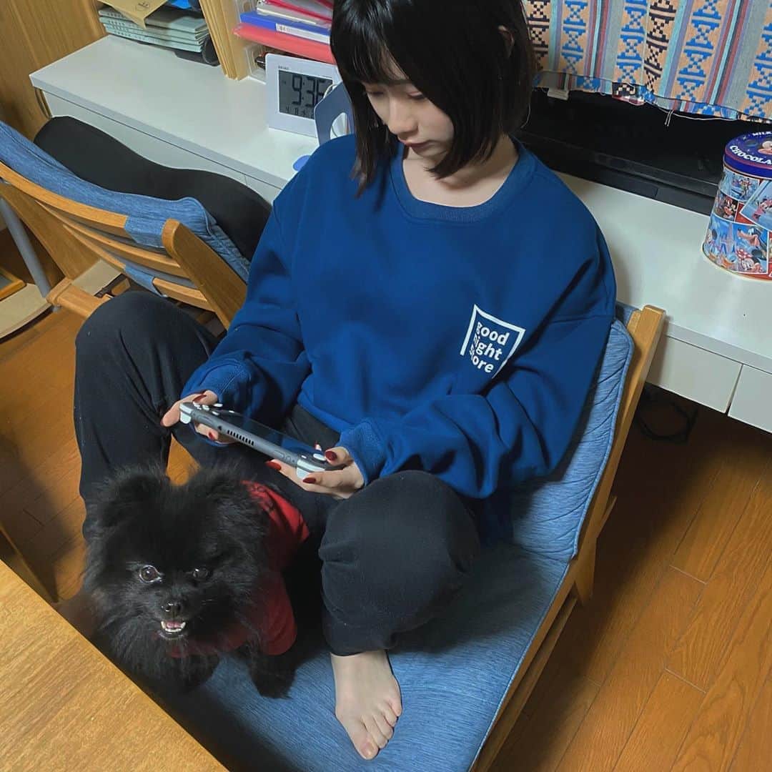 かれんのインスタグラム：「どうぶつの森と虎論」