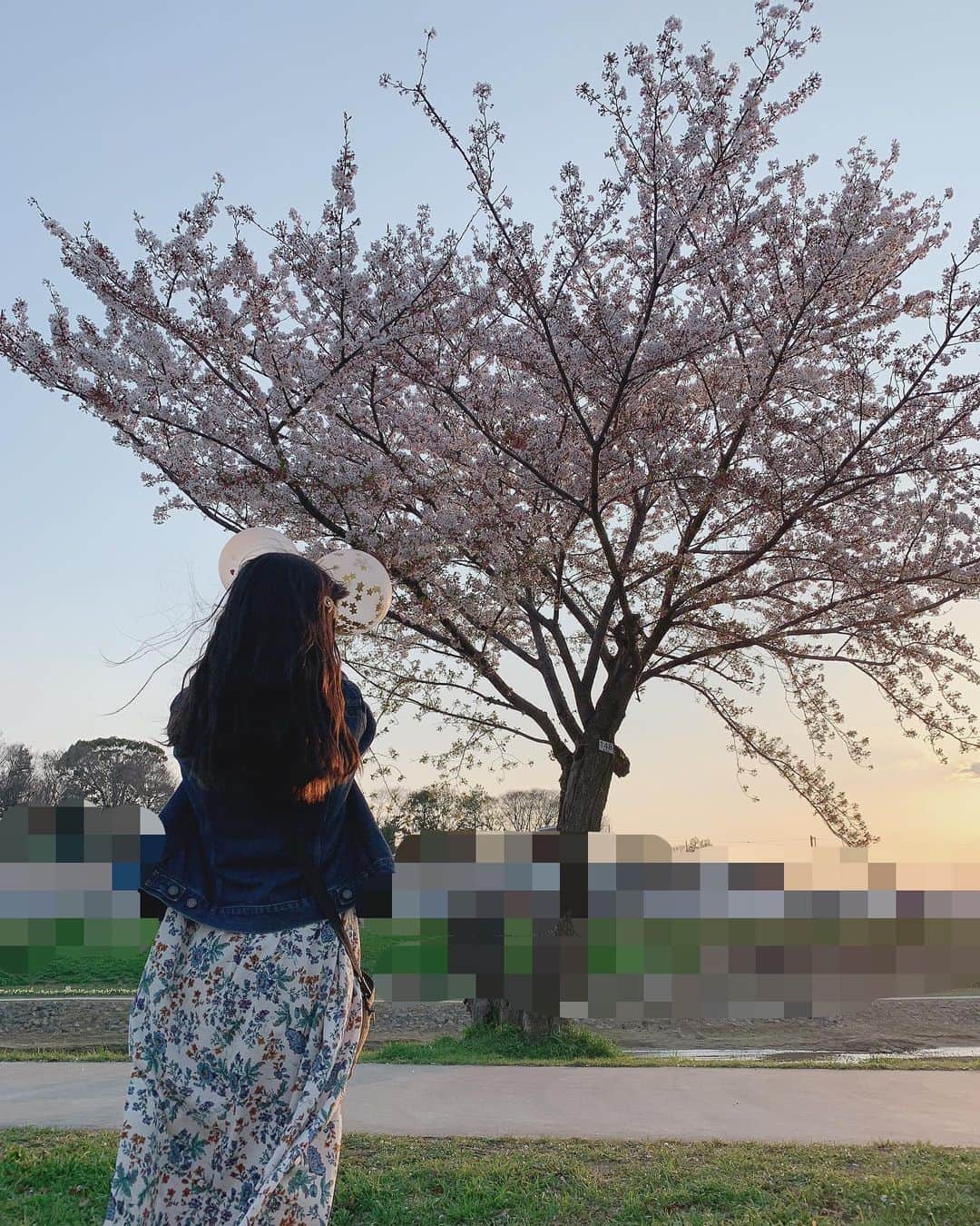 星野愛美さんのインスタグラム写真 - (星野愛美Instagram)「🌸❤🎈 最近流行ってる風船のばんってするやつした.♥ ・ ・ 今日始業式のはずだった日 #シブサン」4月8日 21時50分 - aimi._.nn08