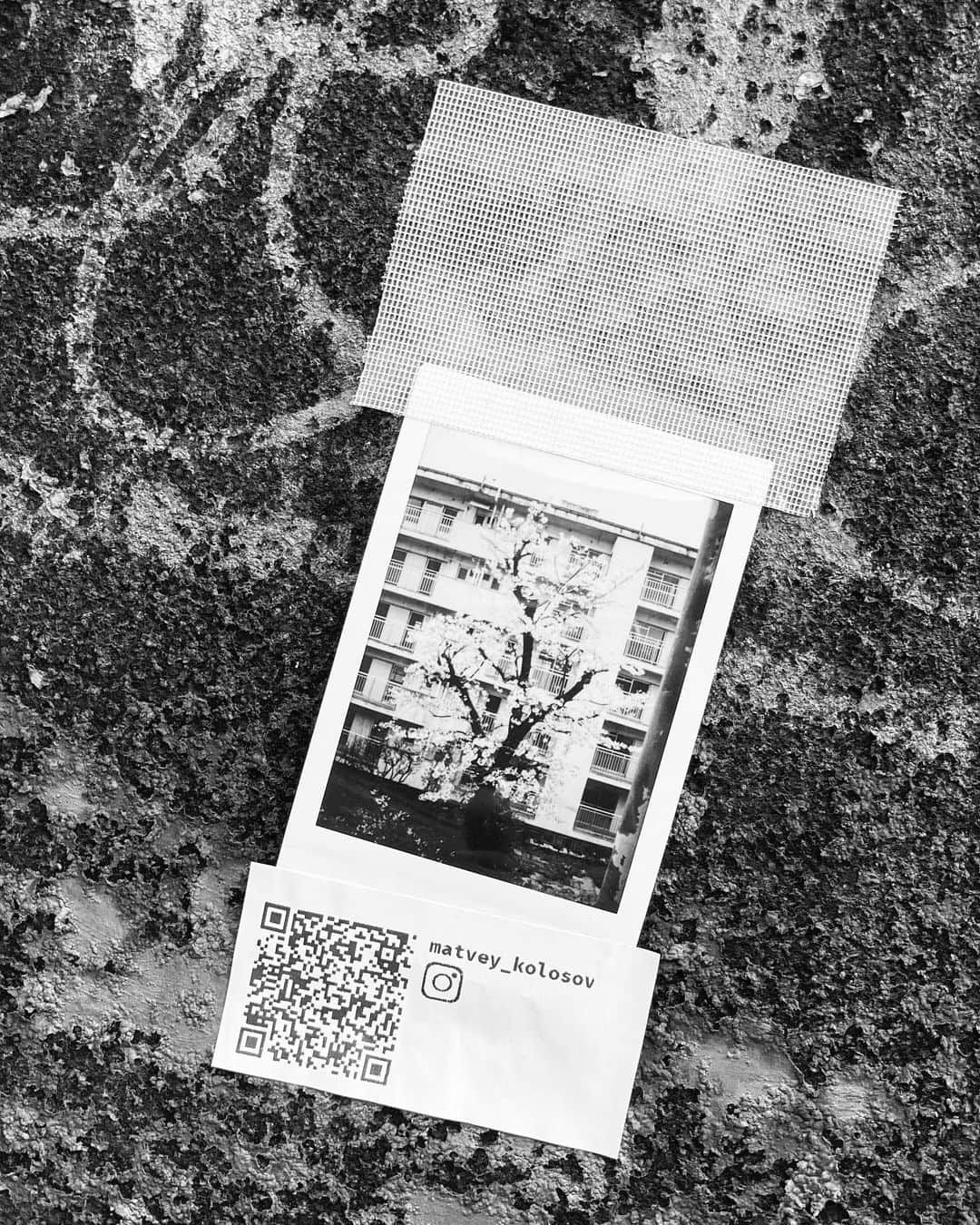のインスタグラム：「#streetphotography #storyofthestreet #streetscenesmag #streetoftokyo #streetcinematography #streetoftones #rust #poraloid #monochrome #iphone11pro」