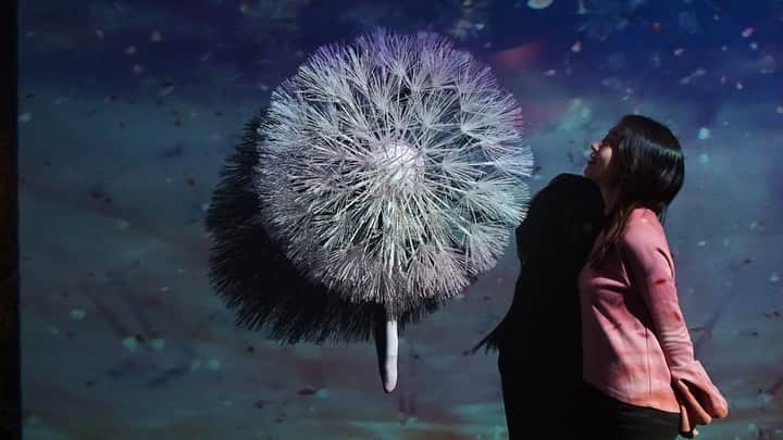 橋本聖子のグルメインスタ