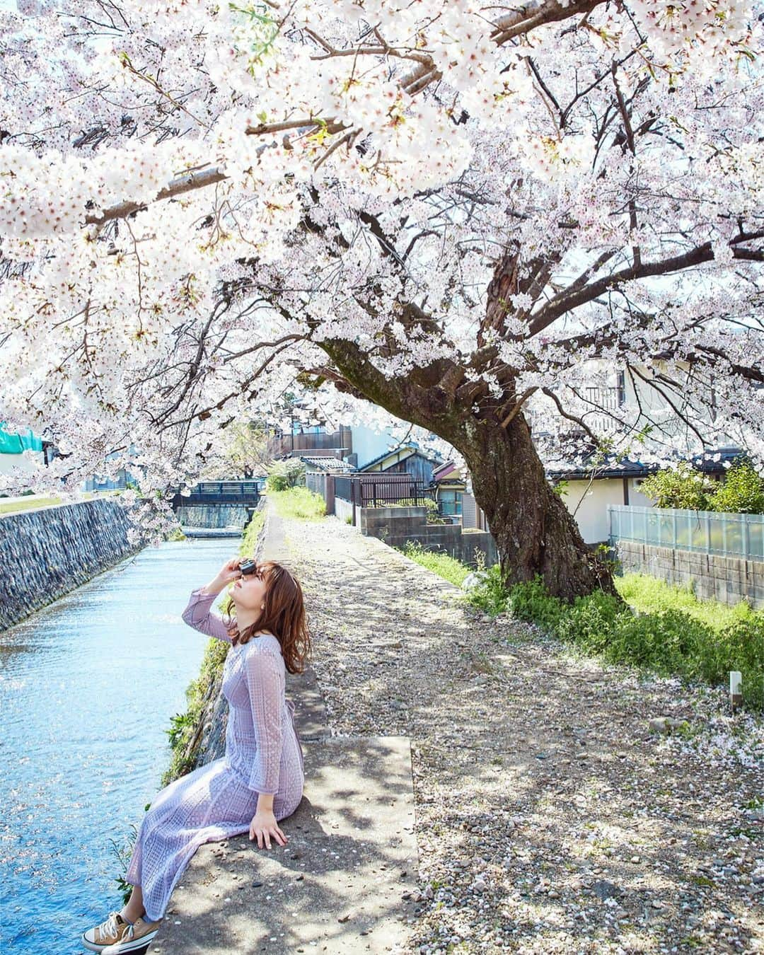 Najiiのインスタグラム：「Bloom - - - #instagramjapan #canonglobal #teamcanon #tokyocameraclub #東京カメラ部 #mycanon #canonasia #spring #photo_shorttrip #lovers_nippon #pics_jp #visitjapanjp #unknownjapan #bloom #sakura #桜 #サクラ#eos #my_eos_photo  #kyoto #京 #京都 #japan #portrait #portraits #good_portraits_world」